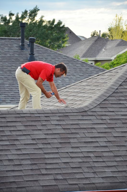 Comprehensive Roof Assessment